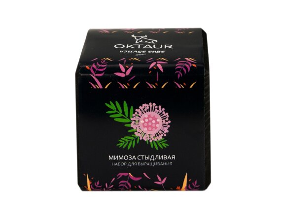 Набор для выращивания Small village cube Мимоза стыдливая Набор для выращивания Small village cube Мимоза стыдливая