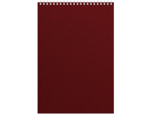 Бизнес - блокнот Альт А4 (198 х 285 мм) Office 60 л., бордовый