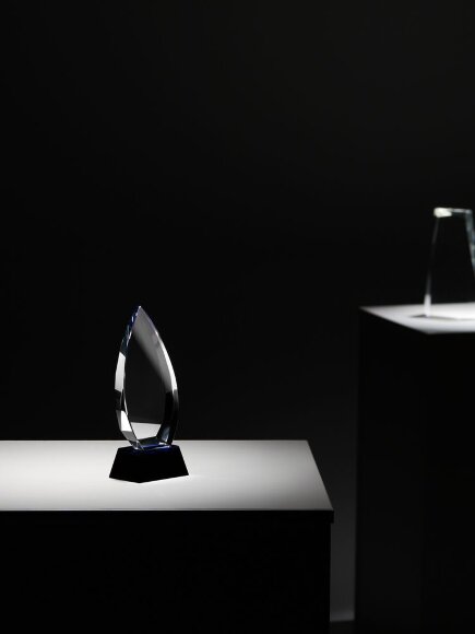 Награда Droplet