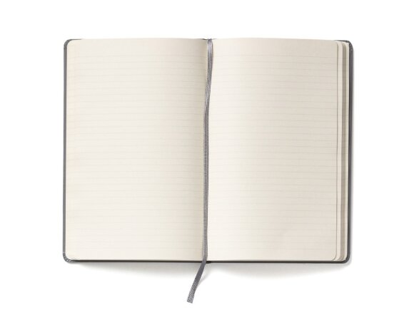 Записная книжка Moleskine Classic (в линейку) в твердой обложке, Large (13х21см), серый Записная книжка Moleskine Classic (в линейку) в твердой обложке, Large (13х21см), серый