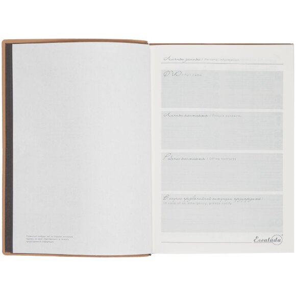 Ежедневник Anaconda, недатированный, серебристый