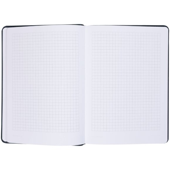 Ежедневник Termini, недатированный, синий Ежедневник Termini, недатированный, синий